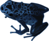 Blue Frog Clip Art